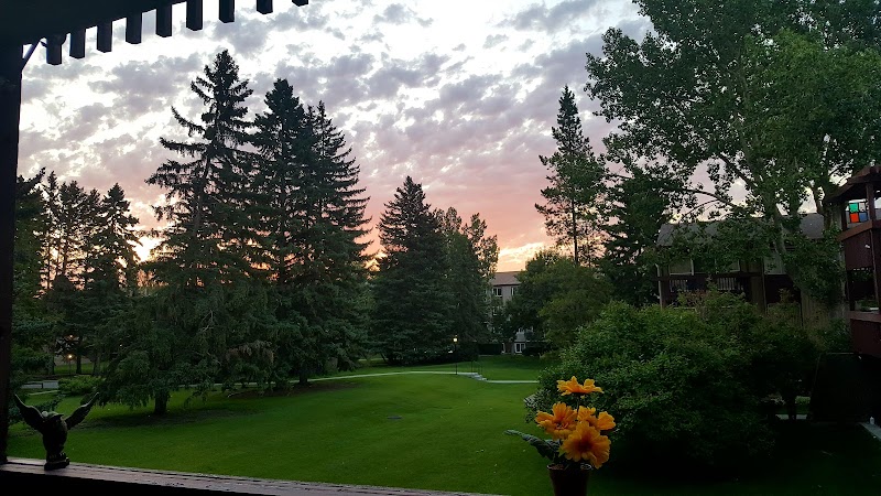 Kingsland Off Leash Area dog park in Calgary, Alberta