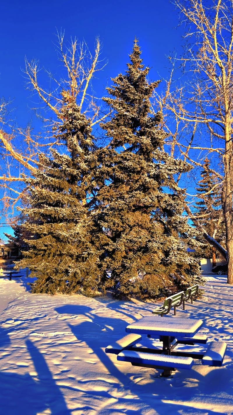 Kingsland Off Leash Area dog park in Calgary, Alberta