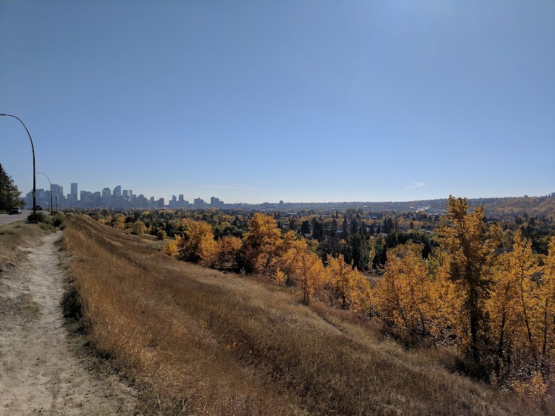 Offleash Dog PARK dog park in Calgary, Alberta