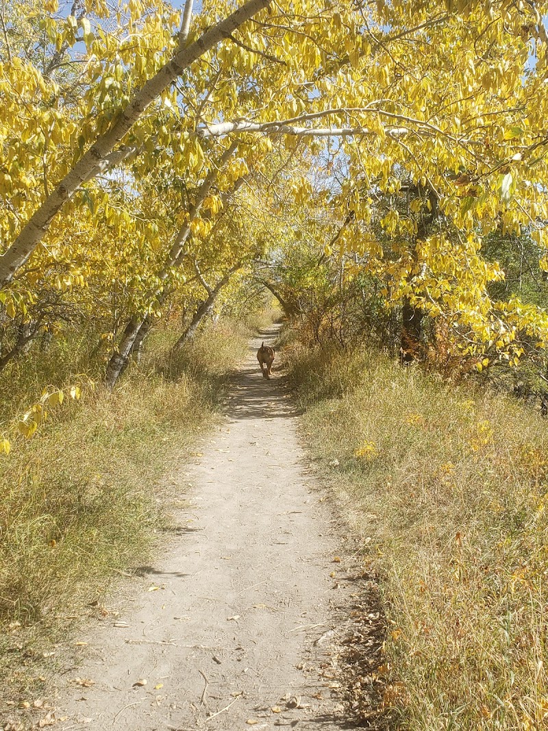 Off Leash Dog Park dog park in Calgary, Alberta