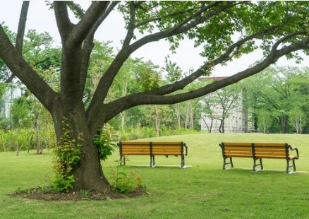 Collingwood Area 1 Off Leash Dog Park dog park in Calgary, Alberta