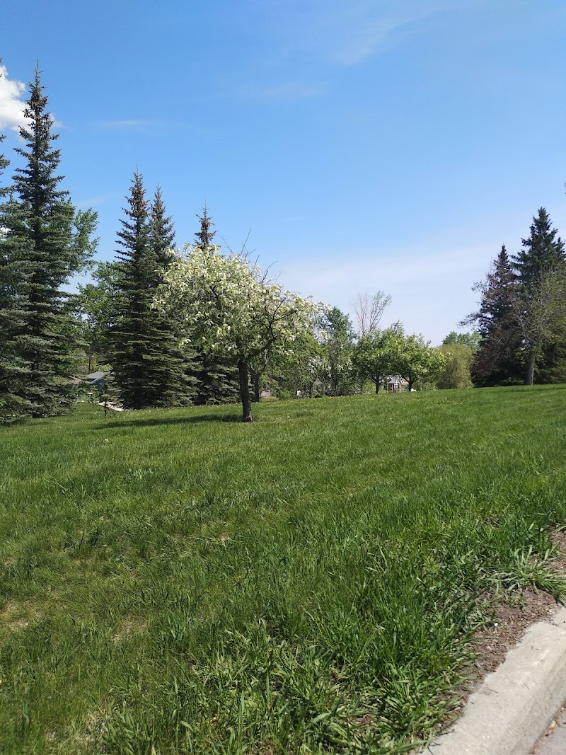 Collingwood Area 1 Off Leash Dog Park dog park in Calgary, Alberta