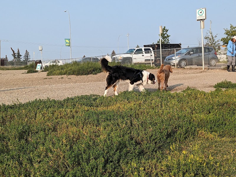 West Nose Creek Park (Confluence Park) dog park in Calgary, Alberta