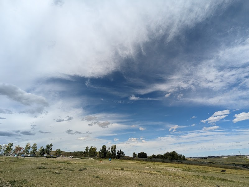 West Nose Creek Park (Confluence Park) dog park in Calgary, Alberta