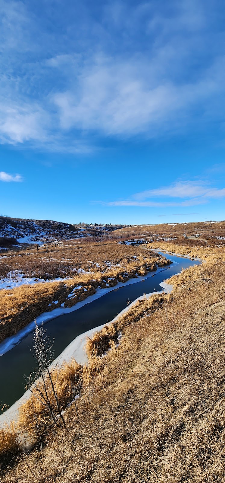 West Nose Creek Park (Confluence Park) dog park in Calgary, Alberta