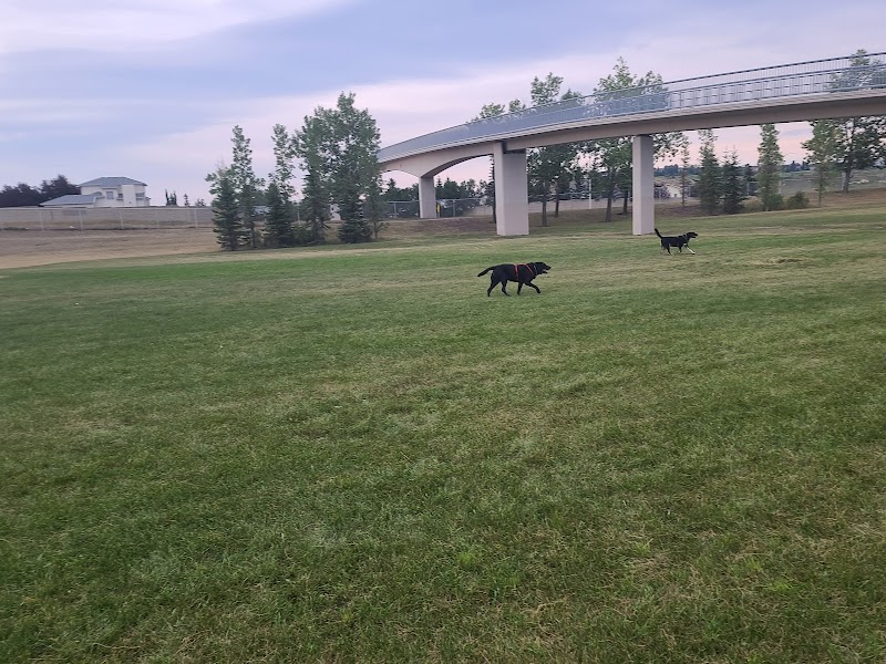 Sandstone Area 1 Off Leash Dog Park dog park in Calgary, Alberta