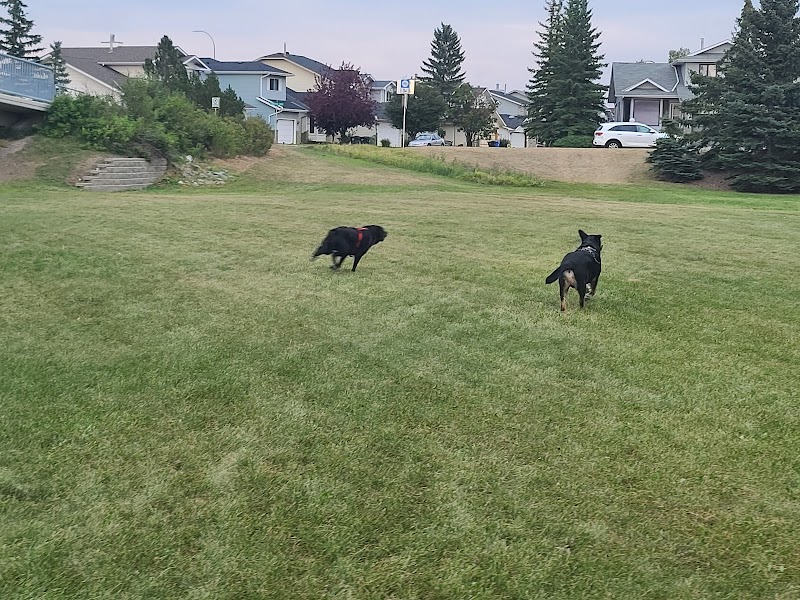 Sandstone Area 1 Off Leash Dog Park dog park in Calgary, Alberta