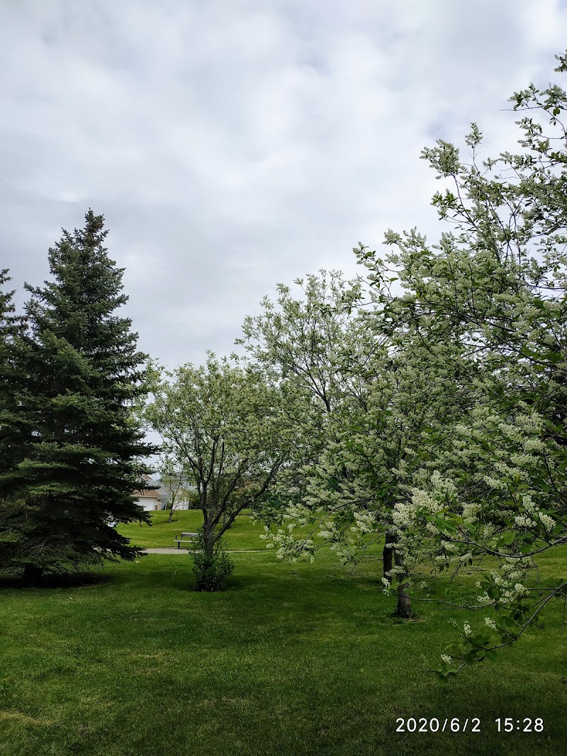 Sandstone Area 1 Off Leash Dog Park dog park in Calgary, Alberta