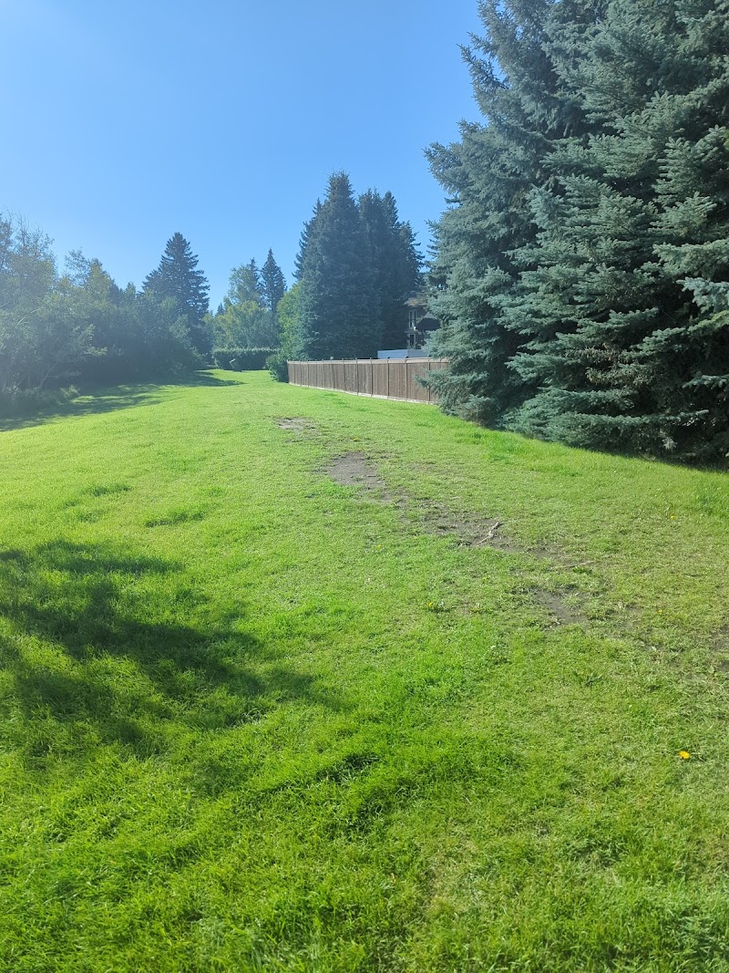 Pump Hill Off Leash Area dog park in Calgary, Alberta