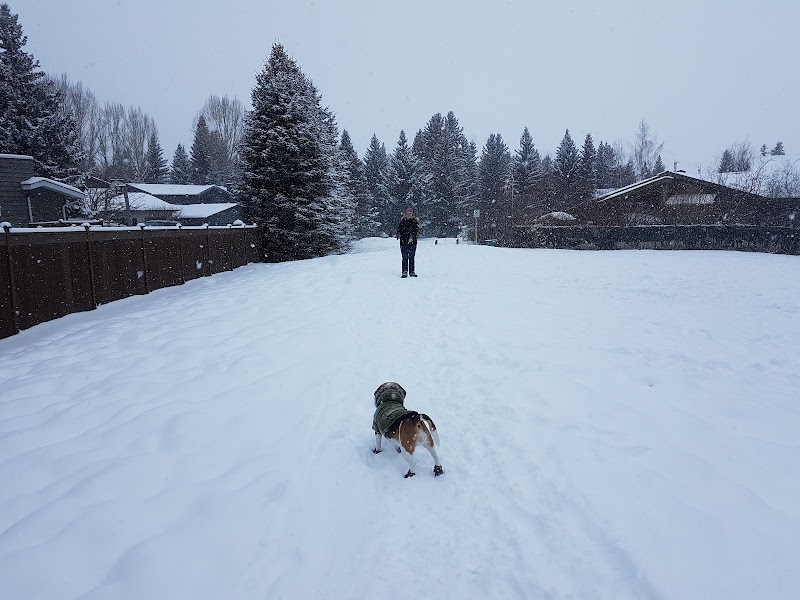 Pump Hill Off Leash Area dog park in Calgary, Alberta