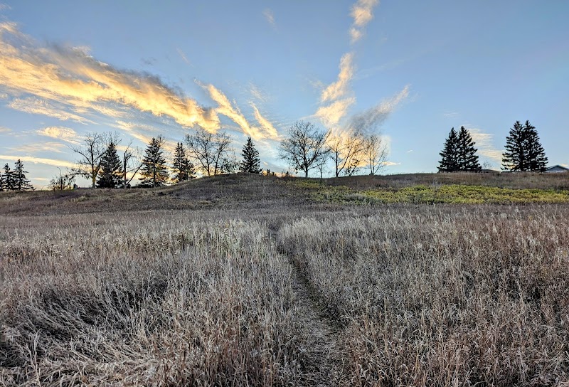 Deer Ridge Off Leash Area dog park in Calgary, Alberta