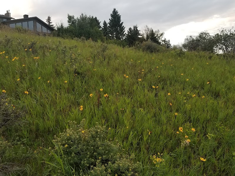 Deer Ridge Off Leash Area dog park in Calgary, Alberta