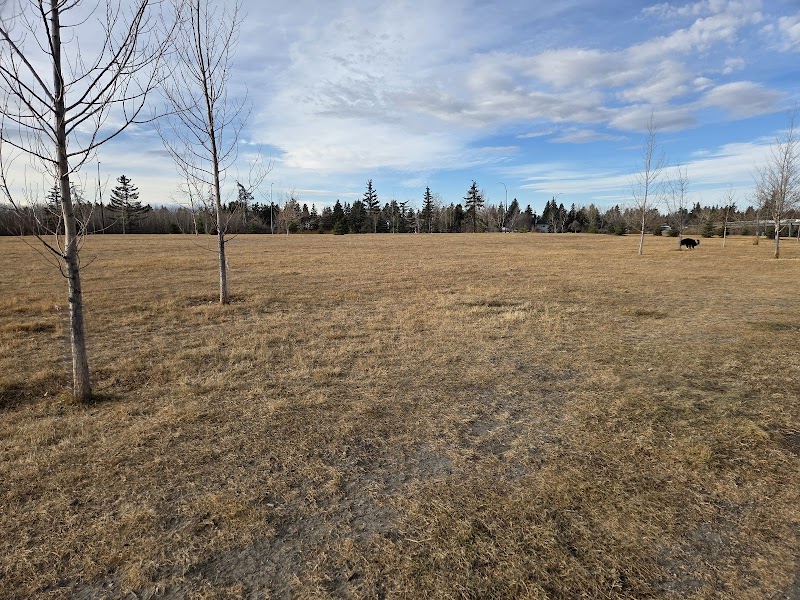 Canyon Meadows Off Leash Area dog park in Calgary, Alberta