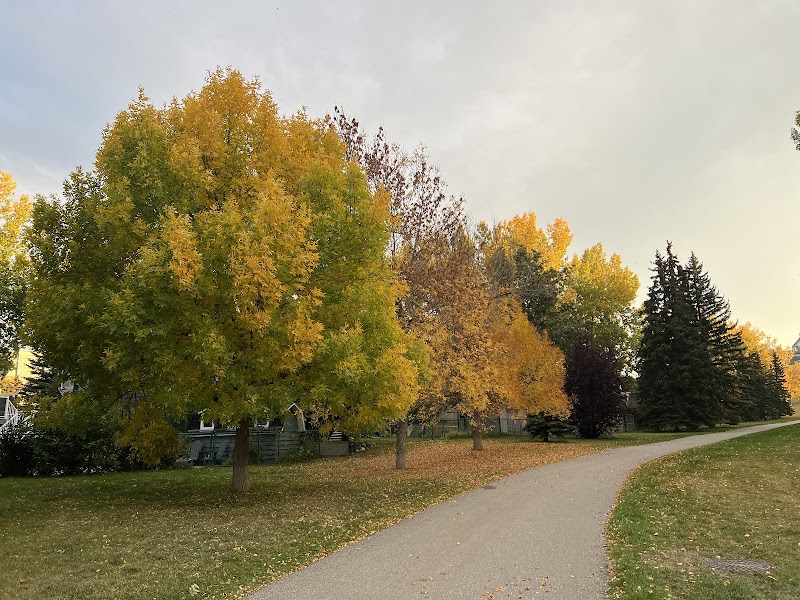 Varsity off-leash area VAR-001 dog park in Calgary, Alberta