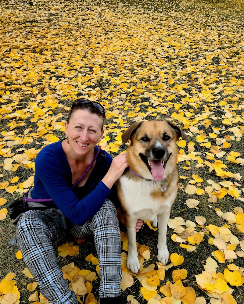 Varsity off-leash area VAR-001 dog park in Calgary, Alberta