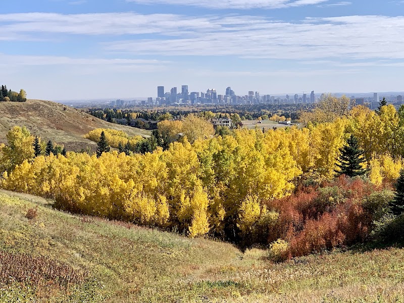 Edgemont Area 2 Off Leash Dog Park dog park in Calgary, Alberta