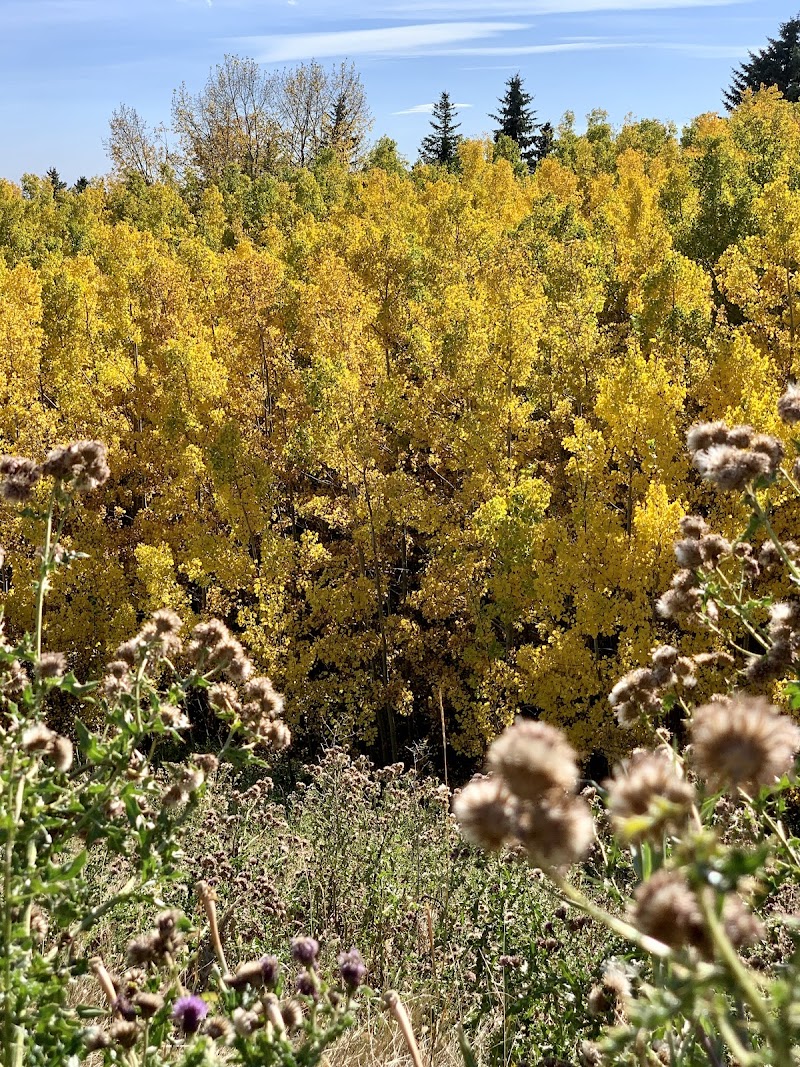 Edgemont Area 2 Off Leash Dog Park dog park in Calgary, Alberta
