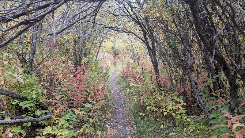 Edgemont Area 2 Off Leash Dog Park dog park in Calgary, Alberta