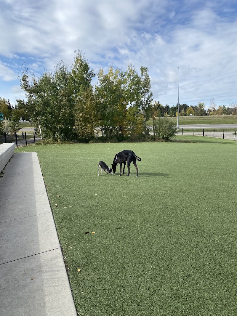 University District Off Leash Dog Park dog park in Calgary, Alberta