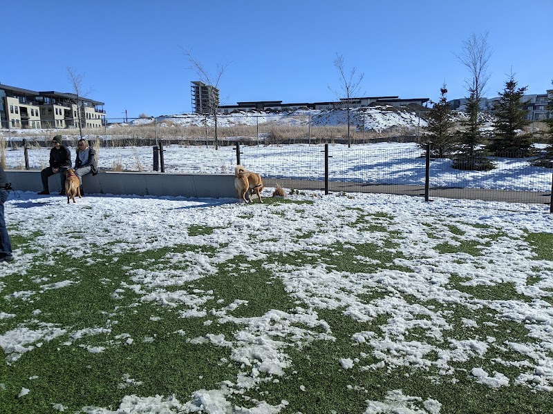 University District Off Leash Park dog park in Calgary, Alberta