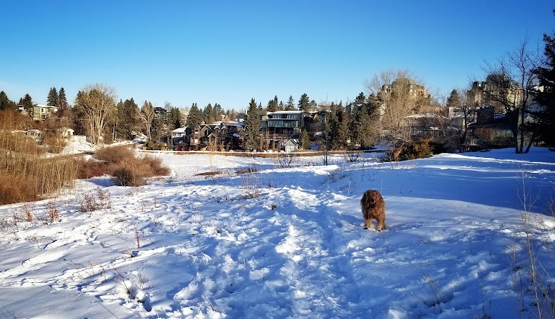 West Hillhurst Off Leash Park dog park in Calgary, Alberta
