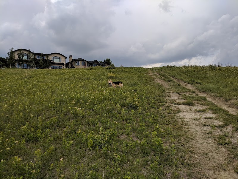 West Hillhurst Off Leash Park dog park in Calgary, Alberta