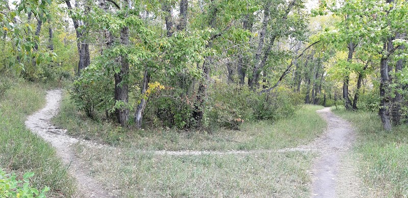 St Andrews Off Leash Dog Park dog park in Calgary, Alberta