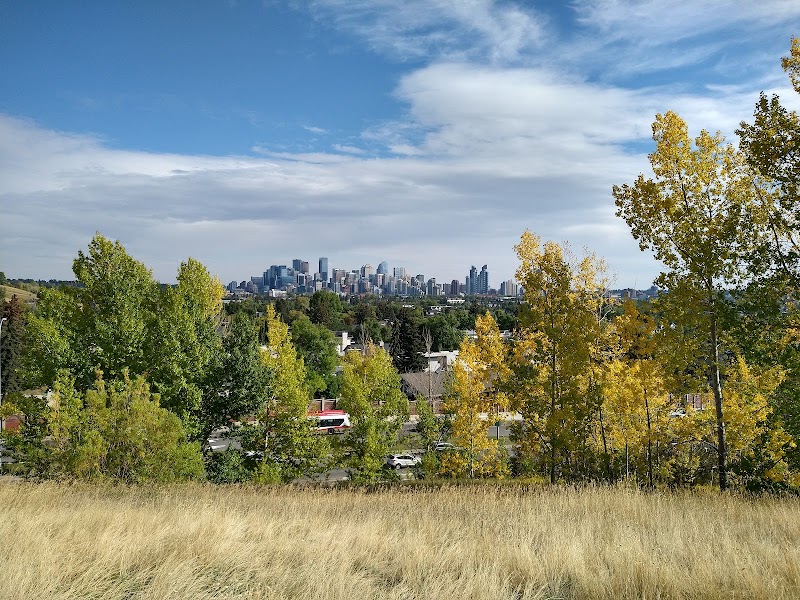 St Andrews Off Leash Dog Park dog park in Calgary, Alberta