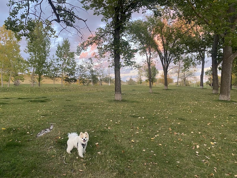 Collingwood Dog Park dog park in Calgary, Alberta