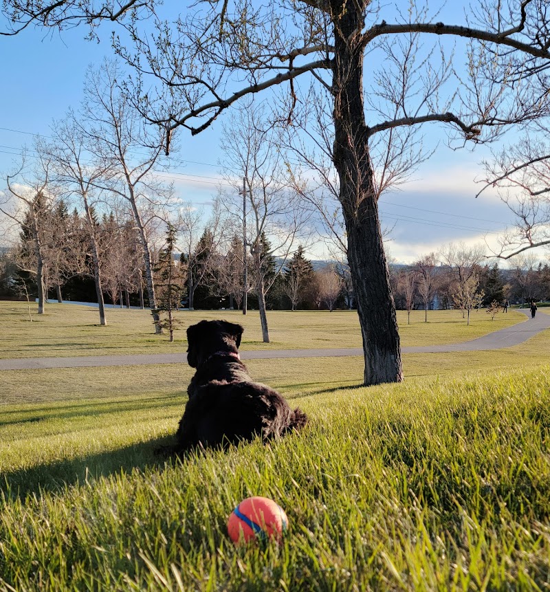 Collingwood Dog Park dog park in Calgary, Alberta