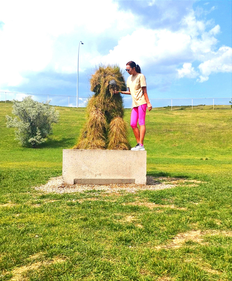 Collingwood Dog Park dog park in Calgary, Alberta