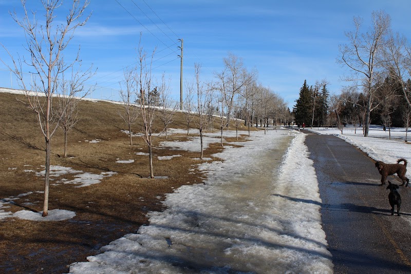 Collingwood Dog Park dog park in Calgary, Alberta