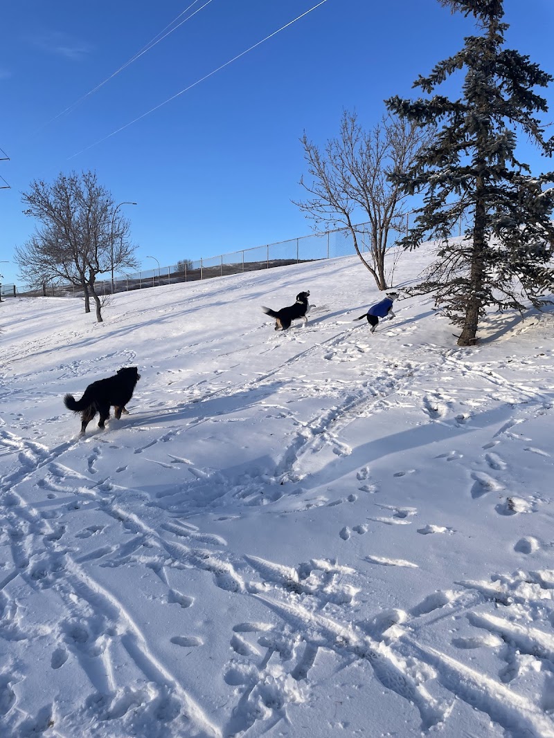 Collingwood Dog Park dog park in Calgary, Alberta