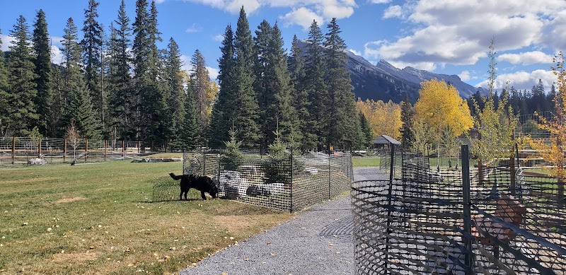 Hounsfield Heights/Briar Hill Off Leash Area dog park in Calgary, Alberta