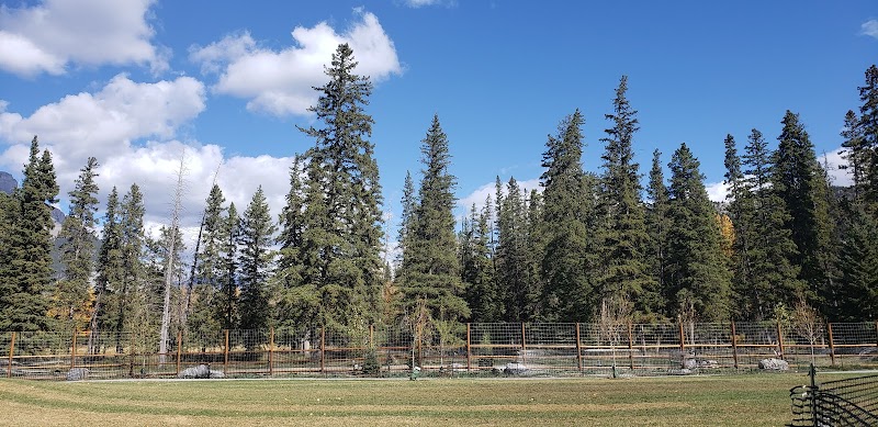 Hounsfield Heights/Briar Hill Off Leash Area dog park in Calgary, Alberta