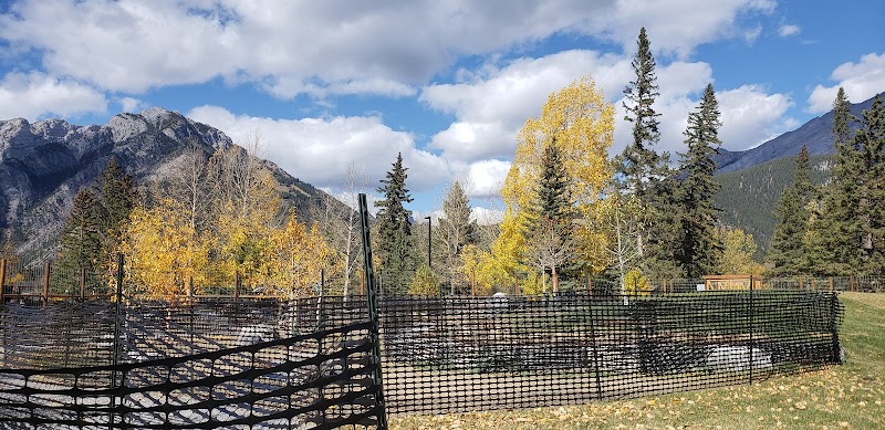 Hounsfield Heights/Briar Hill Off Leash Area dog park in Calgary, Alberta