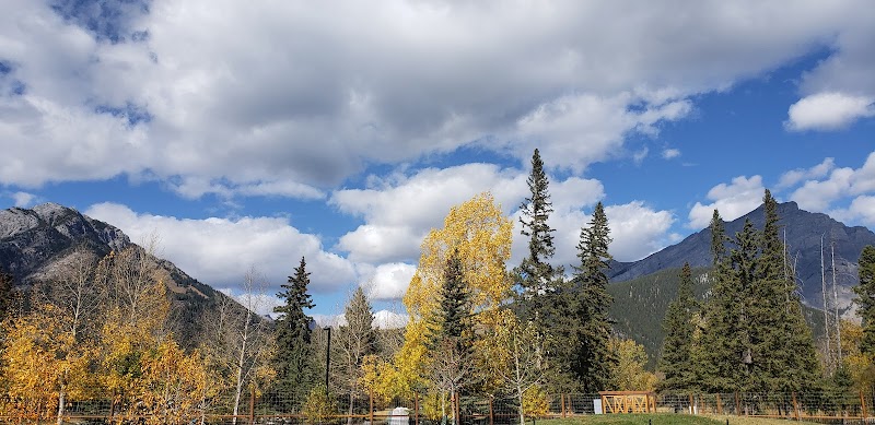Hounsfield Heights/Briar Hill Off Leash Area dog park in Calgary, Alberta