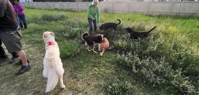 Scenic Acres Off Leash Area dog park in Calgary, Alberta