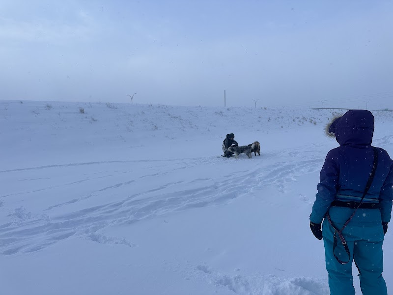 Scenic Acres Off Leash Area dog park in Calgary, Alberta