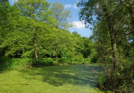 Dalhousie Area 2 Off Leash Dog Park dog park in Calgary, Alberta