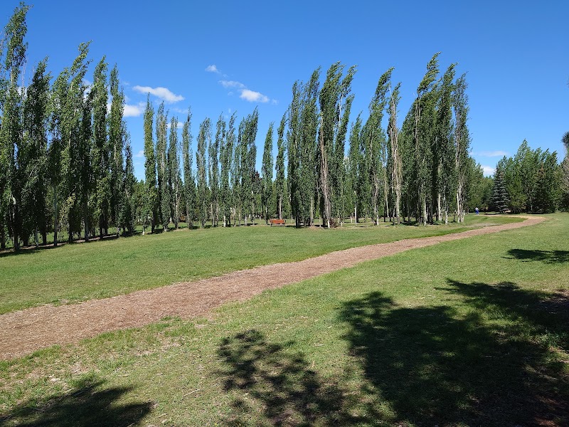 Silver Springs off-leash park dog park in Calgary, Alberta
