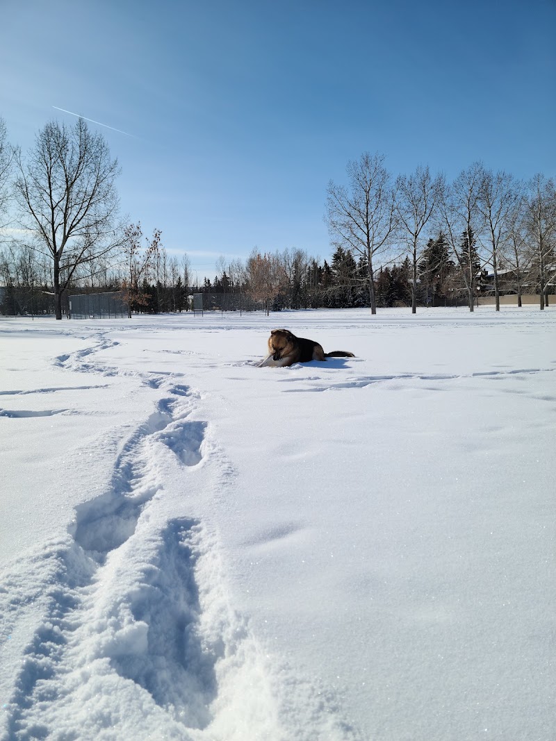 Silver Springs off-leash park dog park in Calgary, Alberta