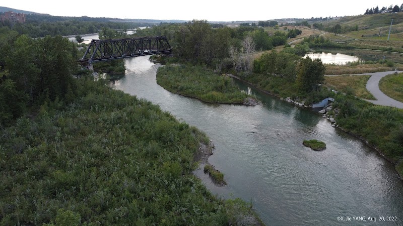 Bowmont Island Off Leash Dog Park dog park in Calgary, Alberta
