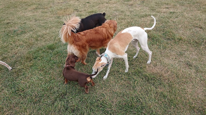 Glenbrook Park off leash area dog park in Calgary, Alberta