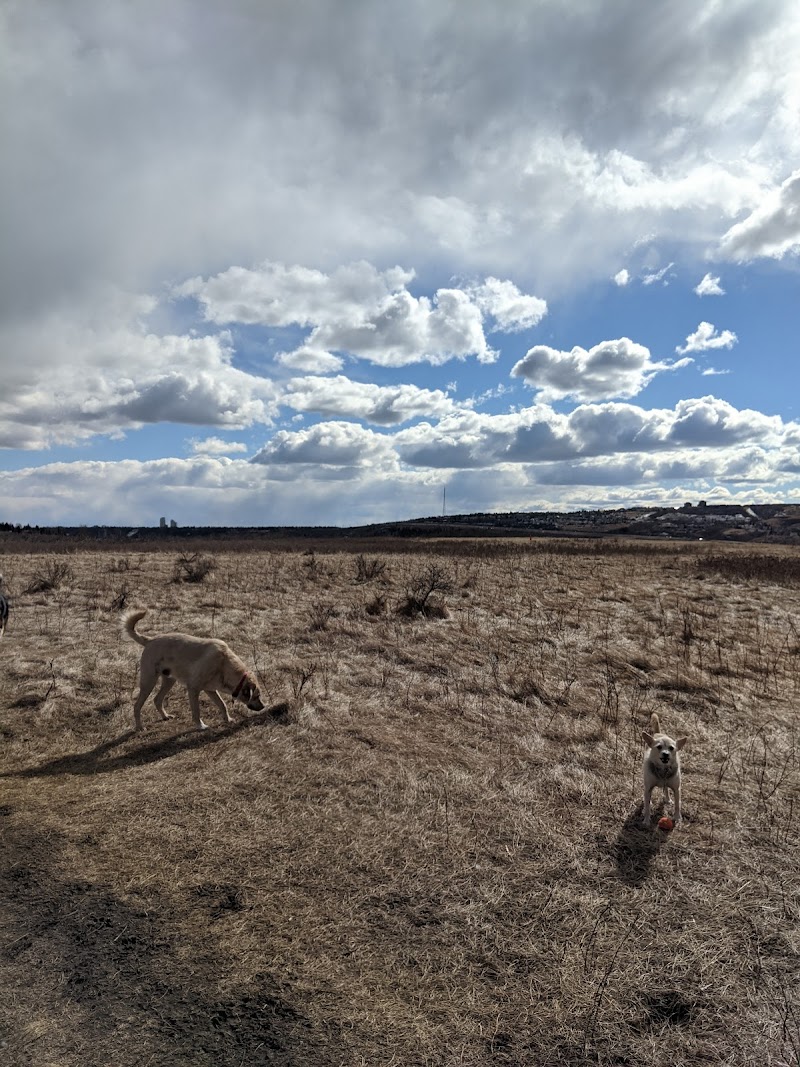Silver Springs Fenced Dog Park dog park in Calgary, Alberta