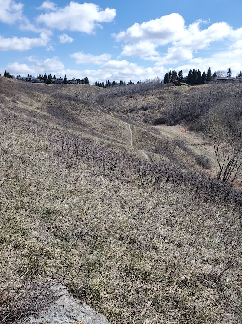 Varsity / Bowmont off leash park dog park in Calgary, Alberta