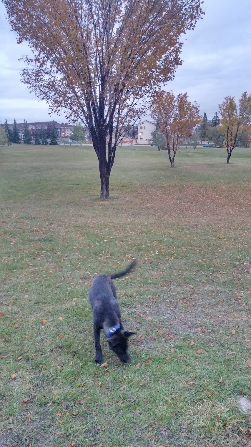 Coach Hill Off-leash Dog Park dog park in Calgary, Alberta