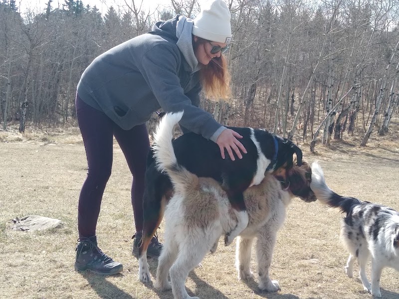 Coach Hill Off-leash Dog Park dog park in Calgary, Alberta
