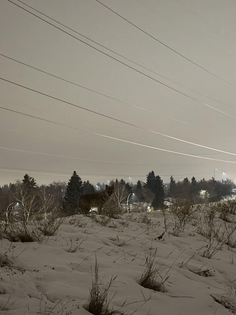 Strathcona Park Off Leash Area dog park in Calgary, Alberta