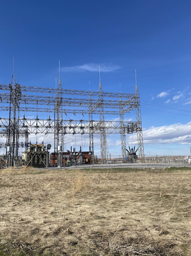 Strathcona Park Off Leash Area dog park in Calgary, Alberta